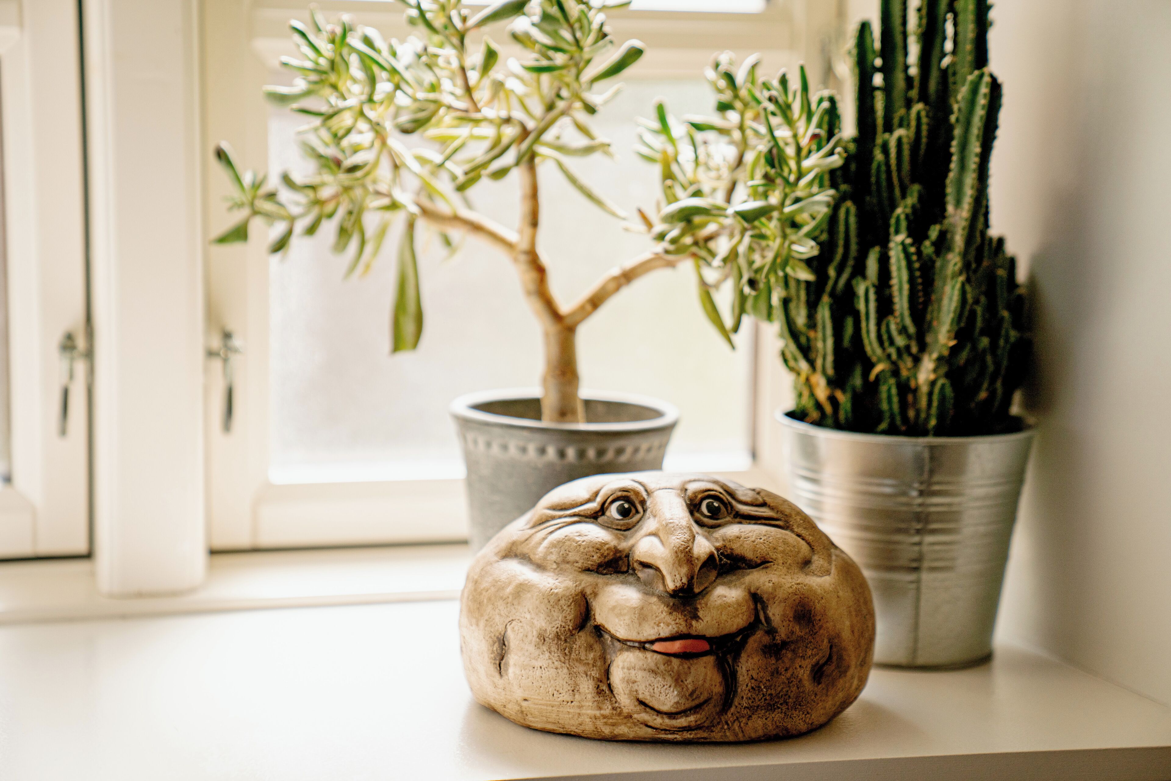 Un vaso di ceramica con un volto, un albero in vaso e un cactus su un davanzale.