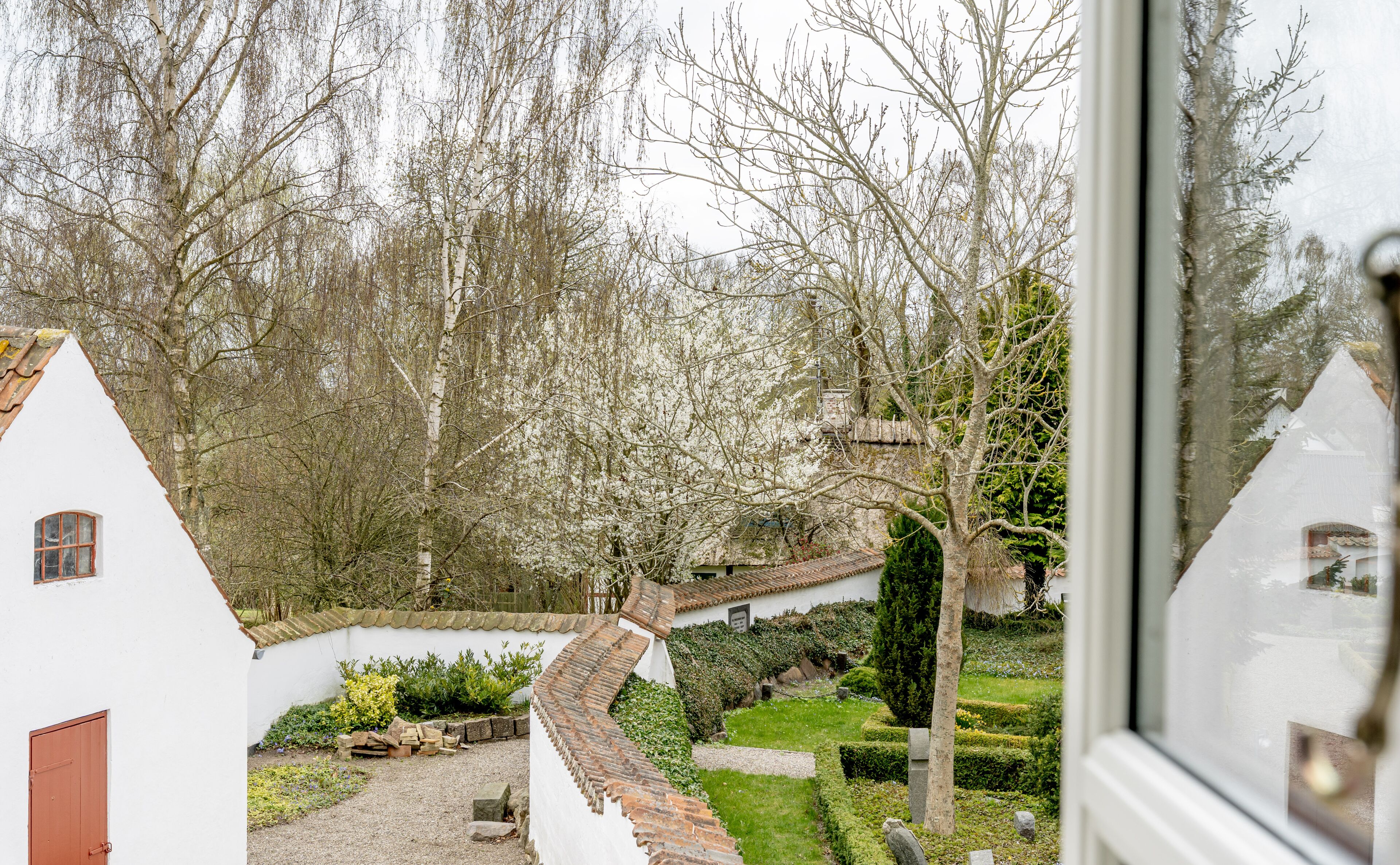A view of a garden with a white building, a pathway, and a tree.