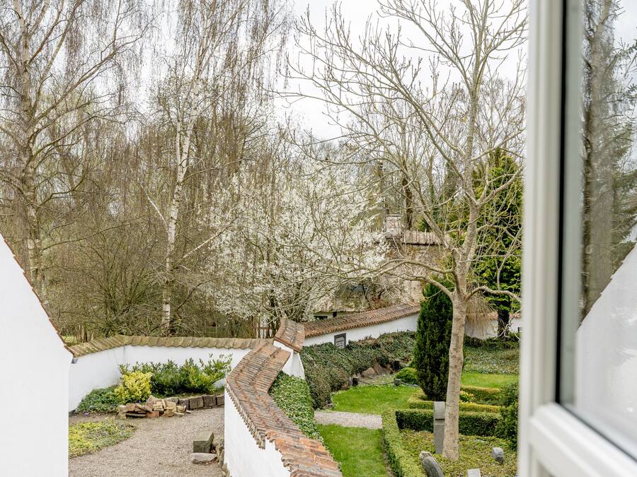 A view of a garden with a white building, a pathway, and a tree.