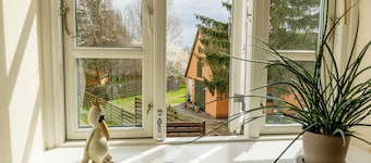Akaciegaarden Bed & Breakfast
