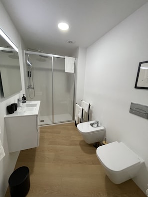Shower, hair dryer, bidet, towels
