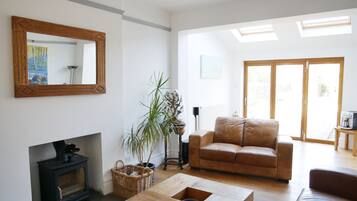 Smart-TV, Kamin