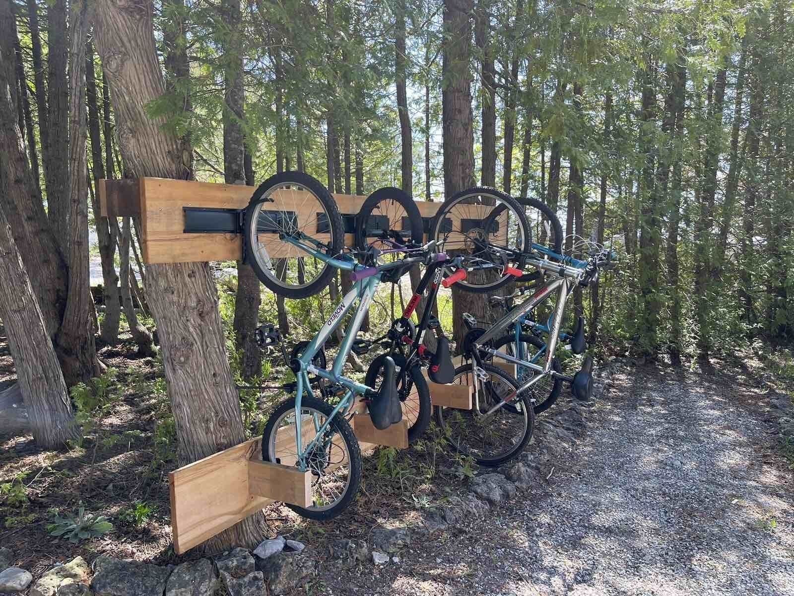 Un porte-vélos en bois situé dans une zone boisée, avec des arbres et un sol recouvert de gravier.