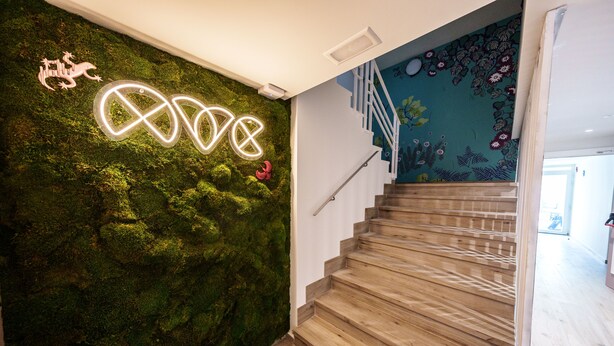 Un escalier avec des marches en bois et un mur recouvert de mousse verte.