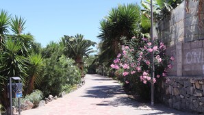 Un camí pavimentat flanquejat per palmeres i arbustos florits, que condueix a un mur de pedra amb la inscripció "ON".