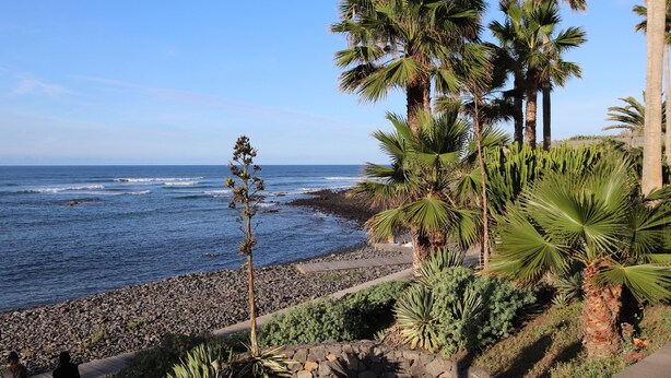 Un passeig marítim amb palmeres i una platja rocosa.