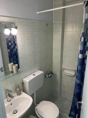 Hair dryer, towels, shampoo, toilet paper