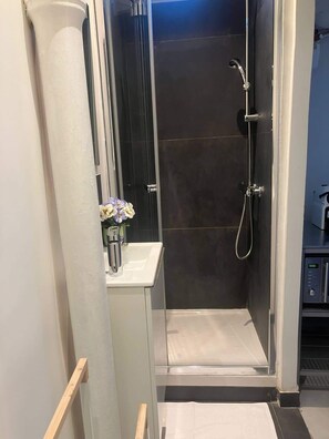 Shower, hair dryer