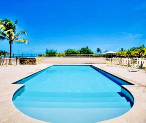 Une piscine rectangulaire à l’eau d’un bleu limpide, entourée d’un petit muret en pierre et d’une clôture en métal.