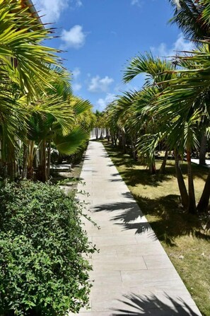 Property grounds - Riviera Blu Paradise Orient Bay (Collectivité de Saint-Martin)