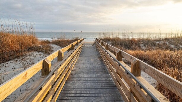 Une promenade en bois menant à une plage de sable où la végétation est clairsemée.