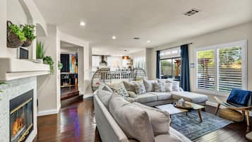 Smart TV, fireplace, video game console, DVD player