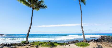 A beach with two palm trees, ocean waves, and a clear sky.