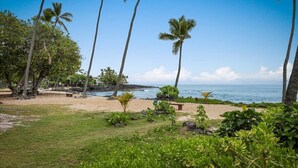 A tropical beach setting with palm trees, a sandy beach, and a view of the ocean.