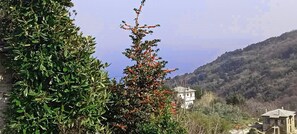 Un paysage rural avec une maison entourée d’une végétation luxuriante et une montagne en arrière-plan.