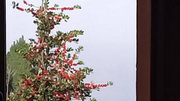 House, Smoking | 2 bedrooms