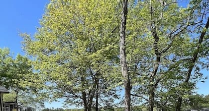 Lakefront Getaway | 2Bd 1Ba | Boat Dock