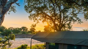 A tented camping area with a view of the sunset over a body of water, surrounded by trees. - Kruger Untamed - Tshokwane River Camp (Skukuza)