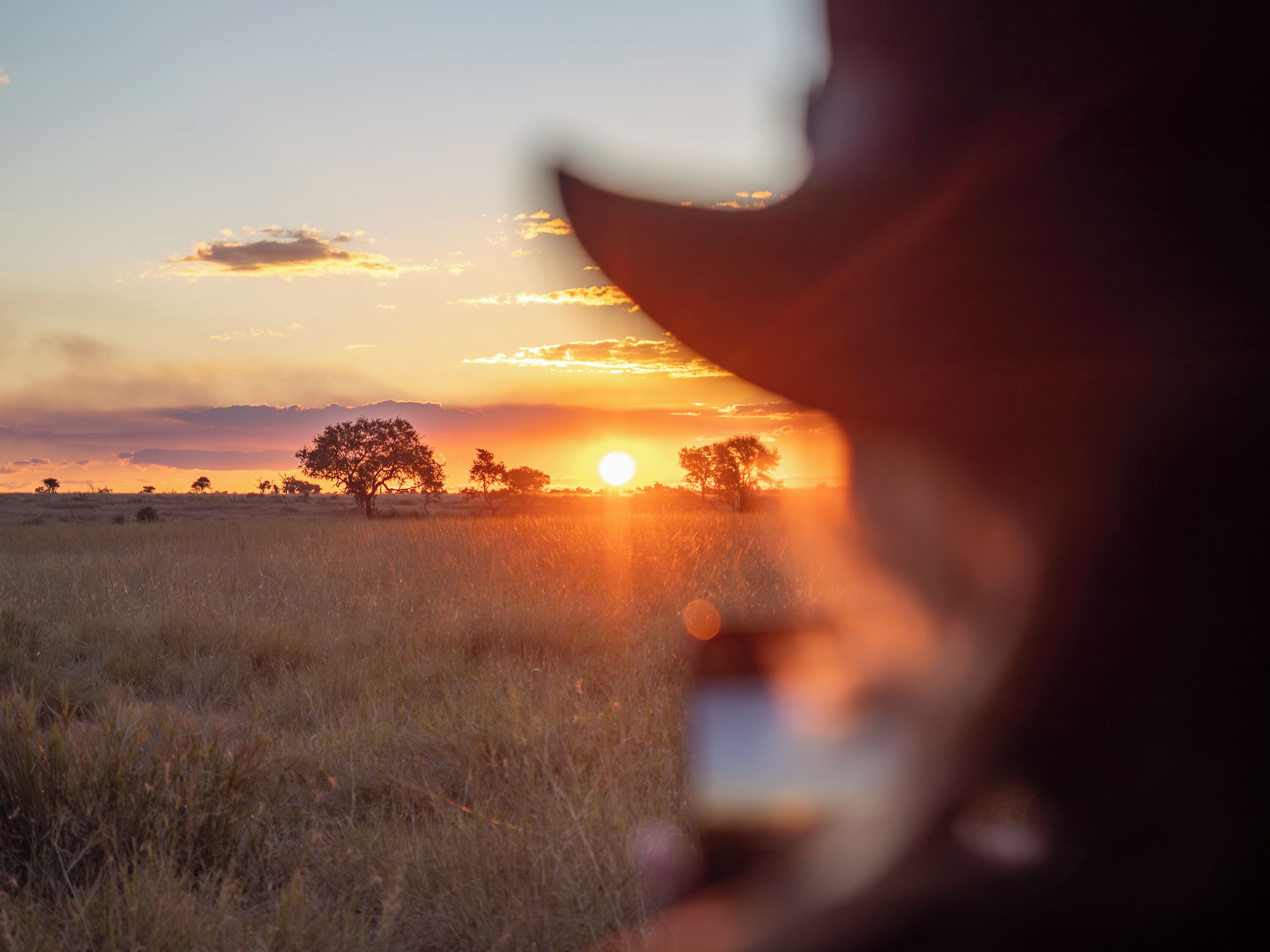 Un coucher de soleil sur un champ herbeux bordé d’arbres, vu à travers un objet flou au premier plan.