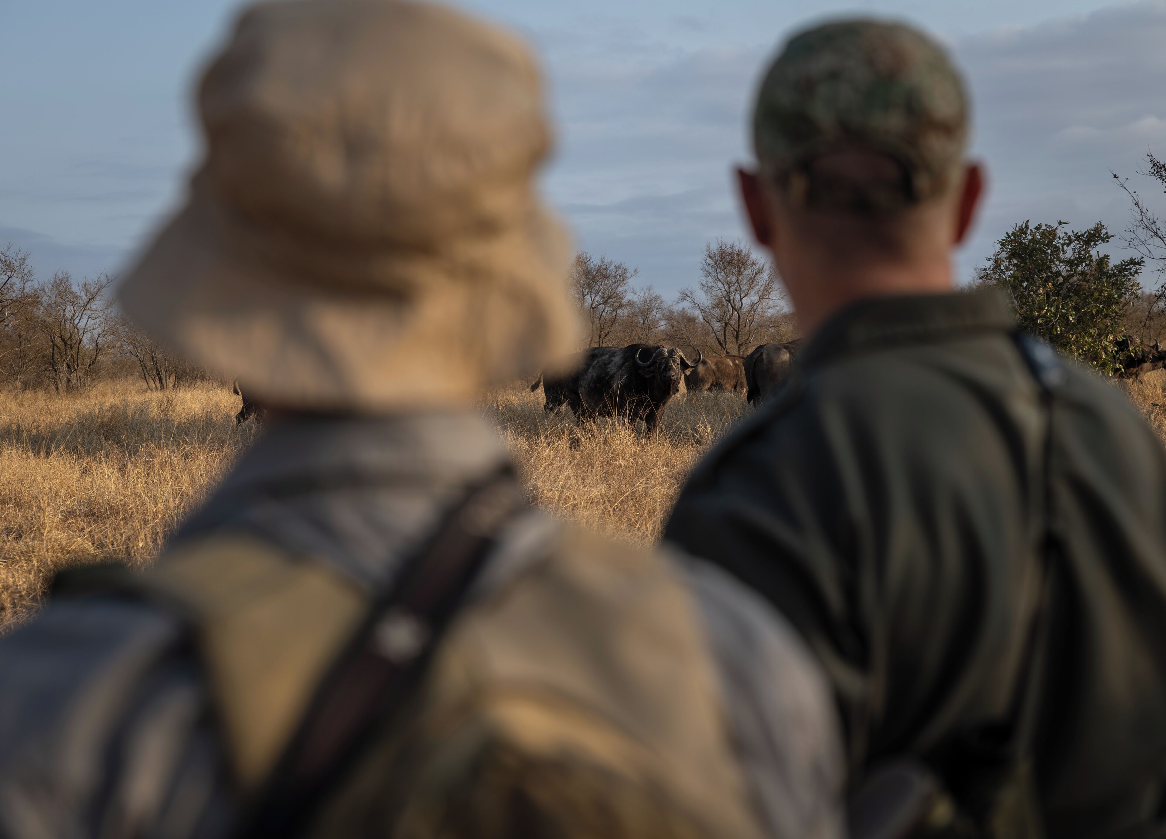 Two individuals observing wildlife in a natural setting.