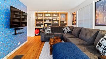 TV, fireplace, video games, books