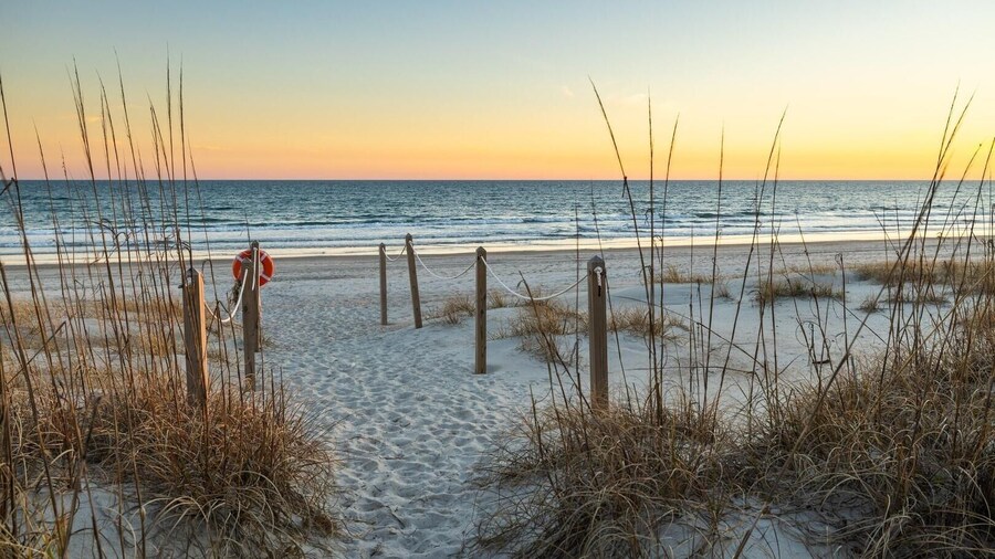 Dogwood Treehouse 4 Bedroom Home by RedAwning