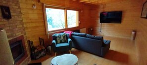 Smart TV, fireplace, books