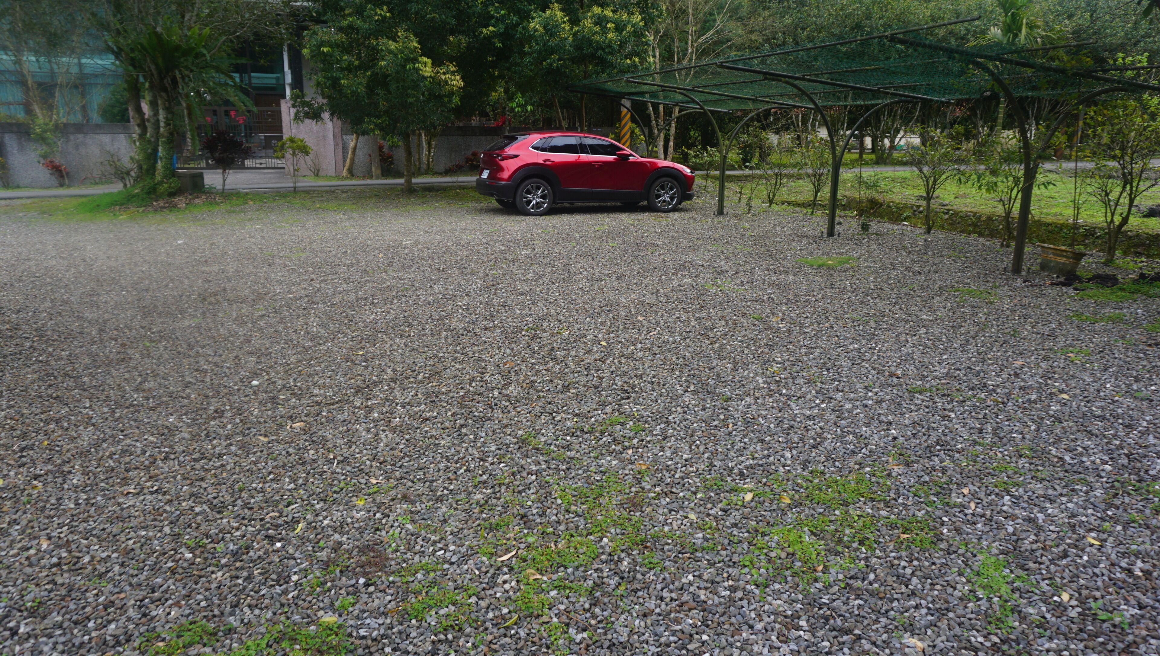 泊車