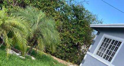 Eco-Shared Paradise