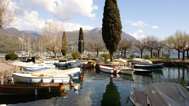 A marina with boats docked, trees, and a mountainous backdrop.
