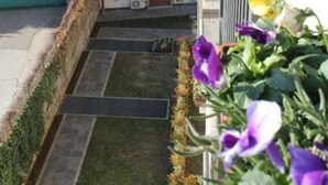 A multi-story residential building with balconies, a visible car in the background, and a flower bed with purple flowers. - Case Cosi Verona - Appartamento 1-4 (Verona)