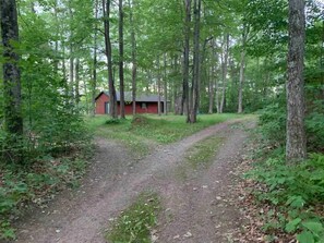 Escape to a secluded cabin surrounded by dense forest and lush greenery.