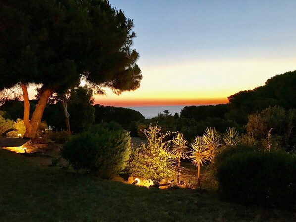 Sonnenuntergang mit Bäumen und weiter Wasserfläche.