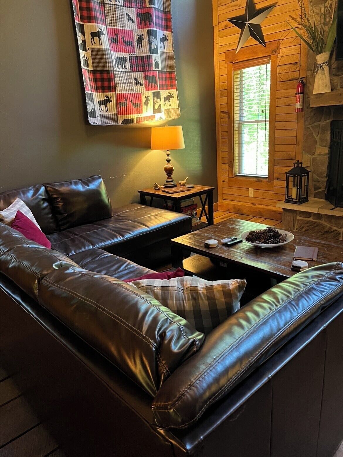 Smart TV, fireplace, video games, books