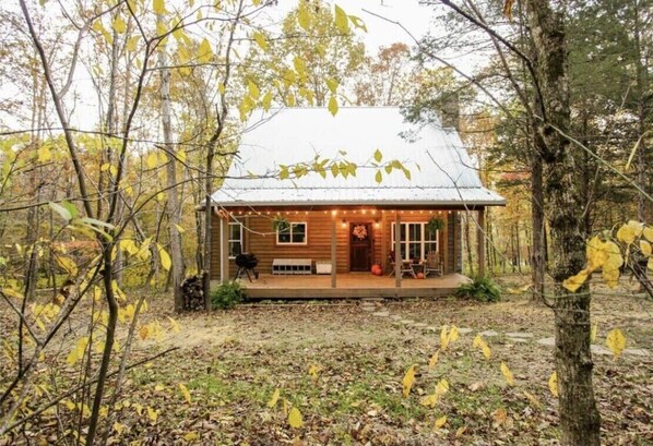 A rustic cabin with a porch, surrounded by trees and fallen leaves. - Hawks Ridge Cabin (Saint James)