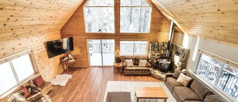 Smart TV, fireplace, books