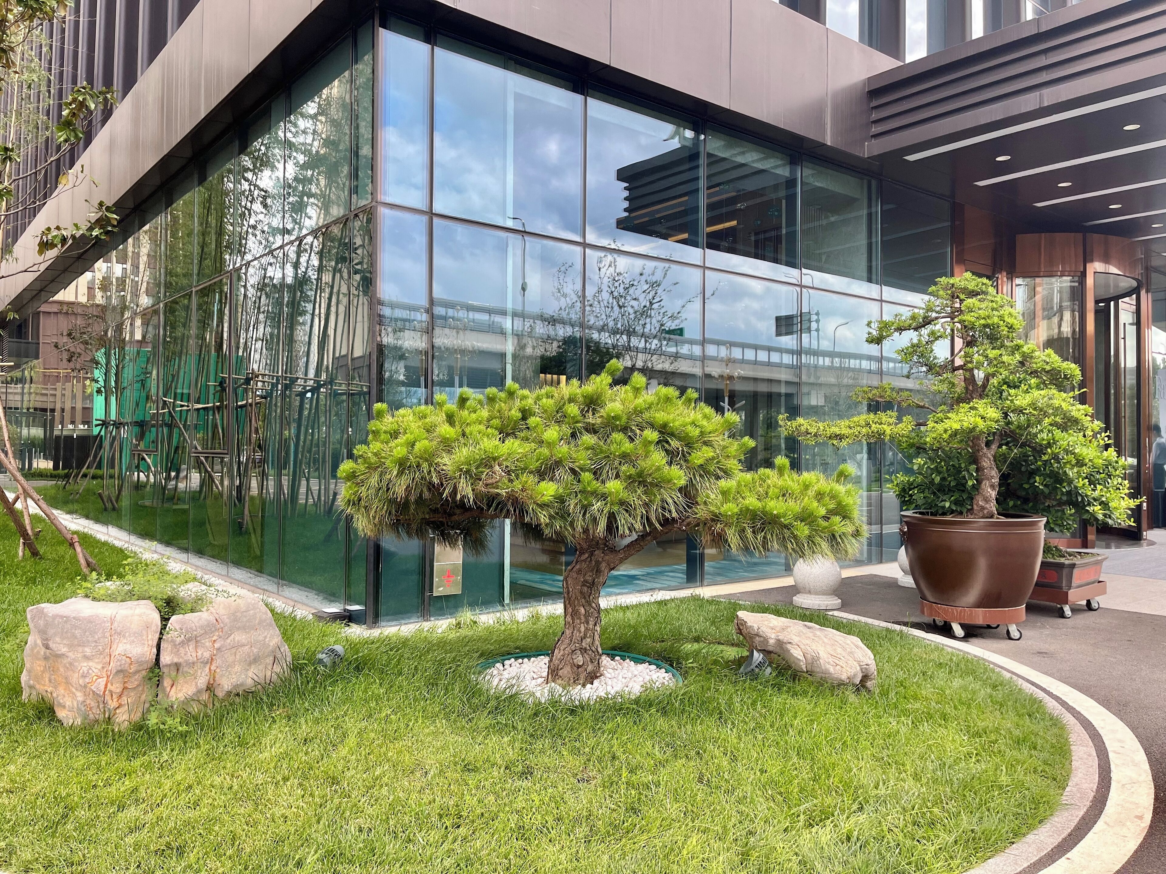 A modern building with large glass windows, a well-maintained lawn, and two potted bonsai trees.