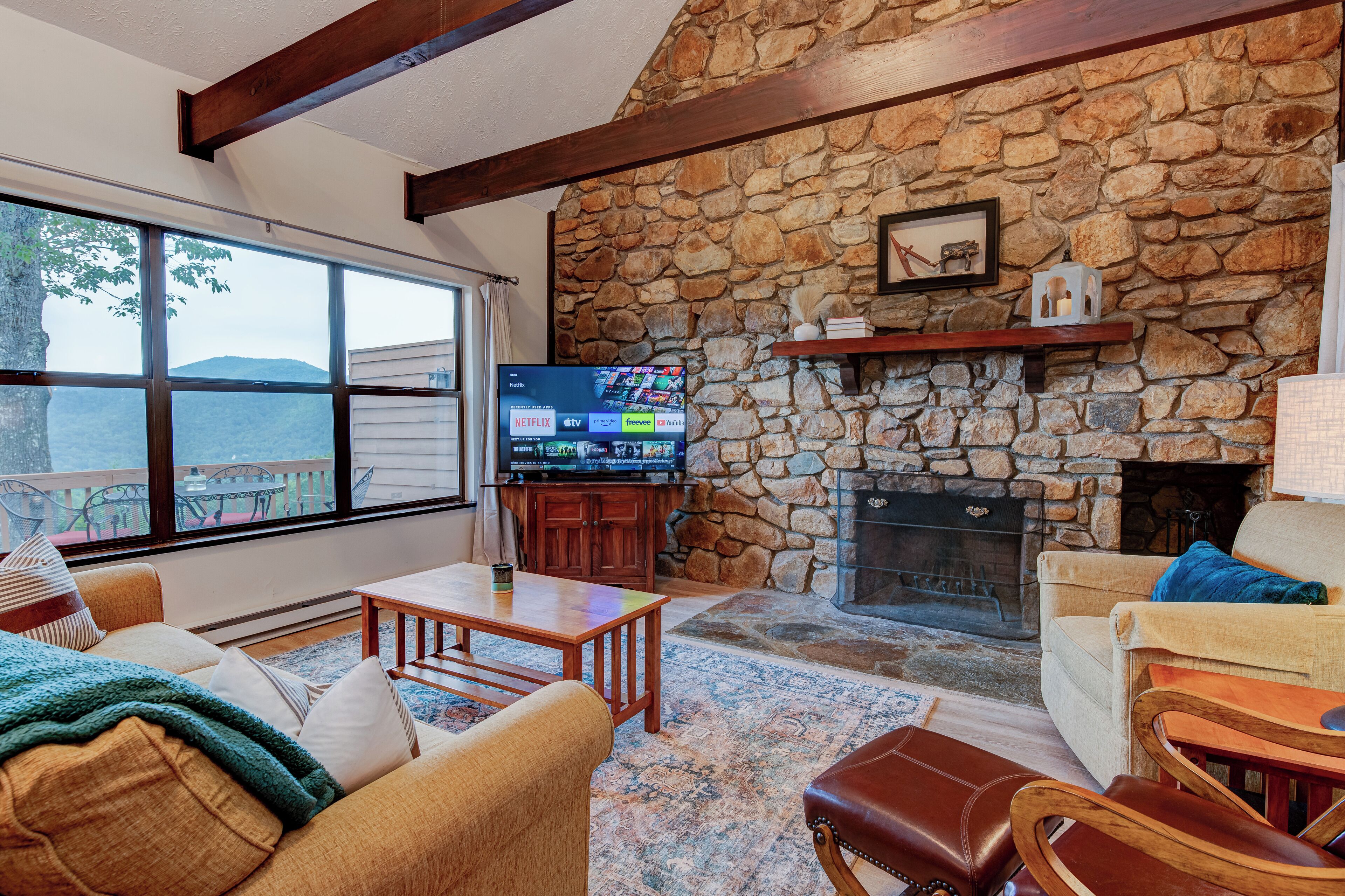 Smart TV, DVD player, books, video library