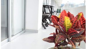 A potted plant with red and yellow leaves on a balcony with a glass door and a chair in the background. - Apartamento Familiar de Lujo al Lado del Lago (Paipa)