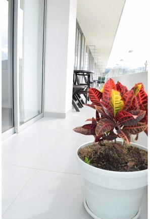 DĂ©tail de lâextĂ©rieur