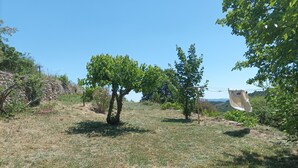 Ein grasbewachsenes Feld mit einigen Bäumen und einer Steinmauer im Hintergrund.