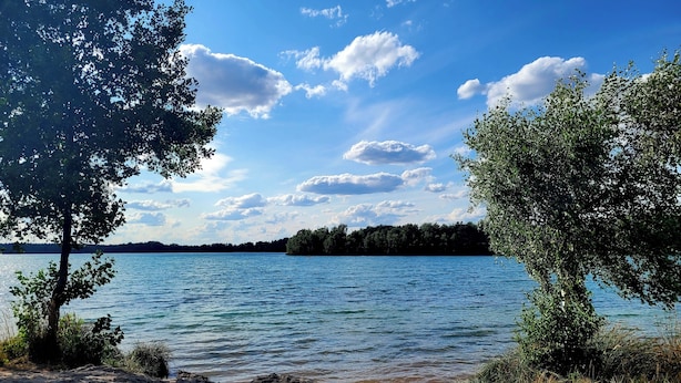 A lakeside view with trees and a clear sky.