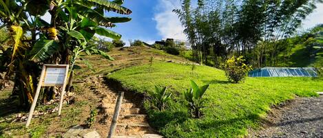 A pathway leading uphill with a signboard, surrounded by lush greenery and a clear sky.
