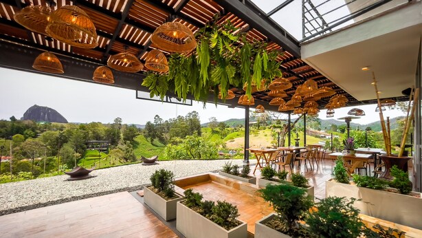Un espace de restauration extérieur moderne, doté d’un plancher en bois, de jardinières en béton ornées de plantes et de lampes suspendues en osier.