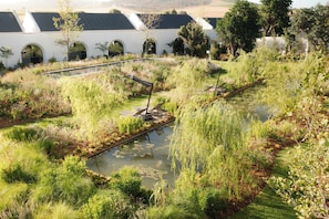 Un área ajardinada con un estanque, rodeada de follaje y un edificio con ventanas de arco.