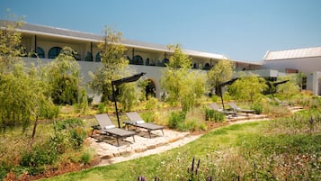 Outdoor pool, pool umbrellas, sun loungers