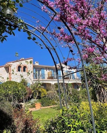 Mas Del Flor