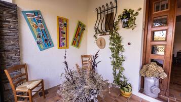 A patio area with a wooden chair, a potted plant, and a wall decorated with photos and a metal rack.