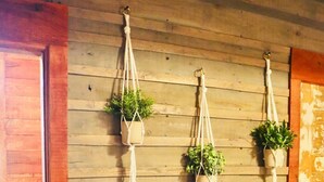 A wooden wall with three macrame planters hanging. - Hideaway Cabin (Mountain View)
