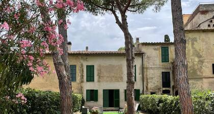 The Ancient Farmhouse of the 1800s